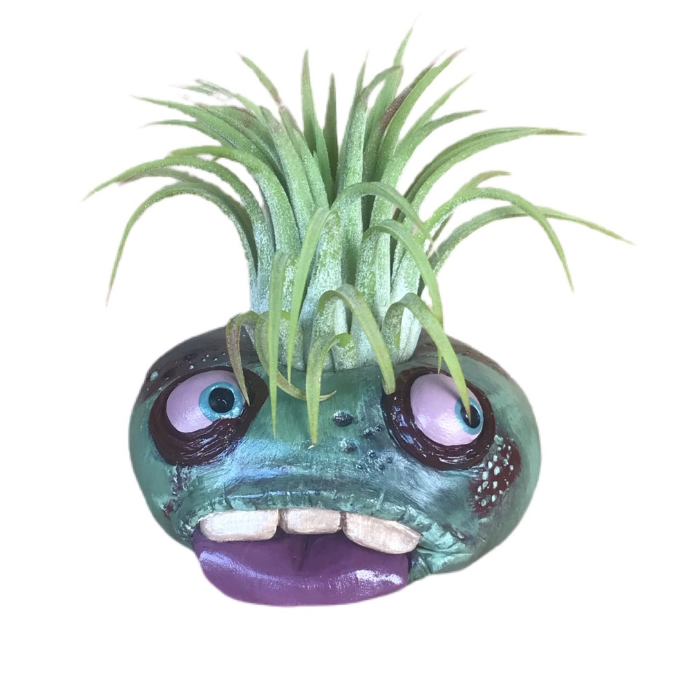 🛑SOLD🛑Handmade Air plant holder zombie